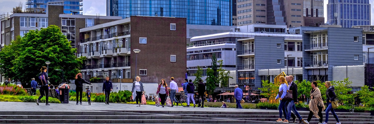 Avocat Paris Droit du travail, Droit de la sécurité sociale